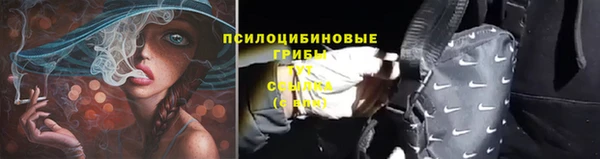 хмурый Новодвинск