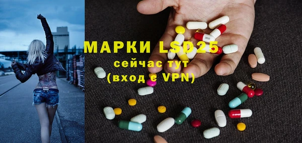 прущие грибы Пролетарск