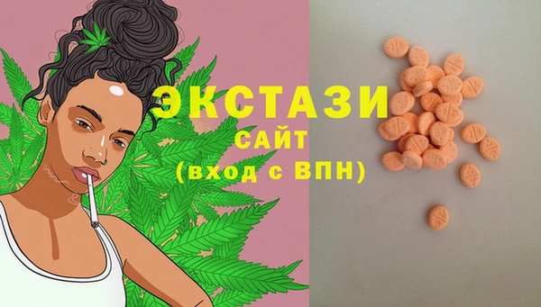 крисы Няндома