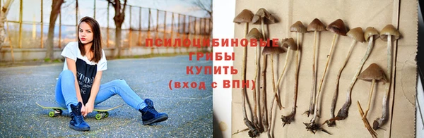 крисы Няндома