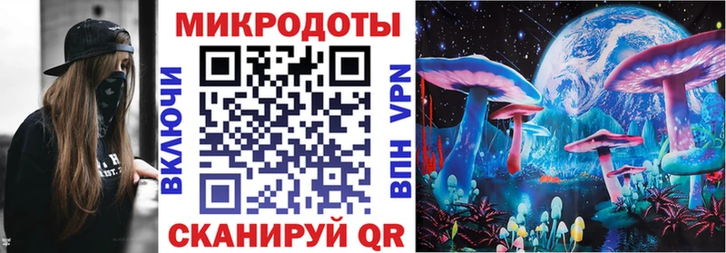 кракен зеркало  Ртищево  Псилоцибиновые грибы Psilocybe  цены наркотик 