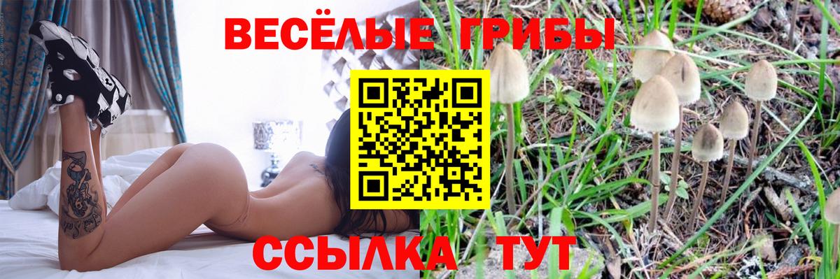 Псилоцибиновые грибы Psilocybine cubensis  Вход с VPN  Псилоцибиновые грибы Magic Shrooms  Ртищево 